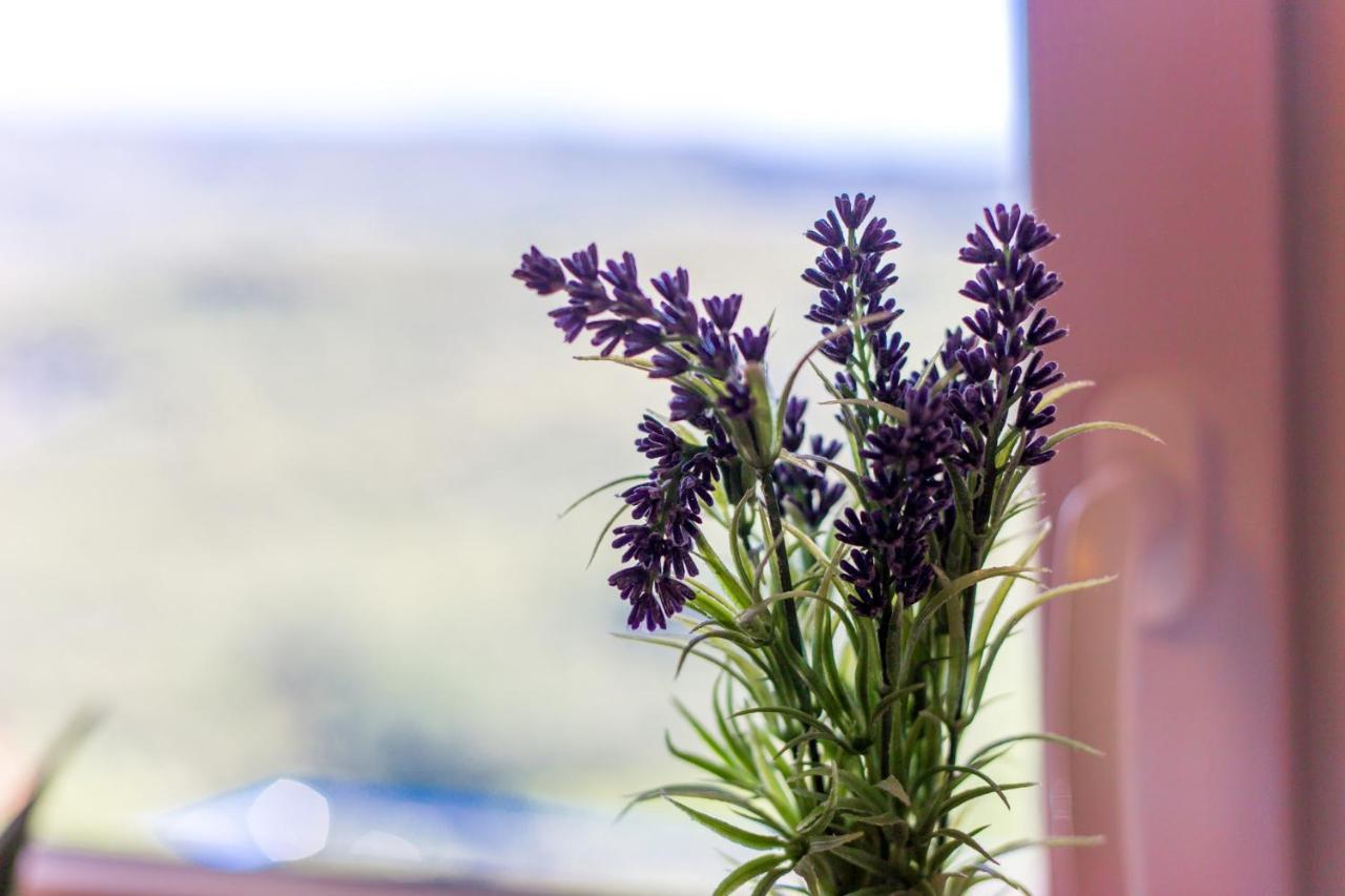 Apartman Aqua-Juric Crikvenica Esterno foto